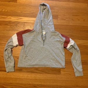 American Eagle Crop Hoodie